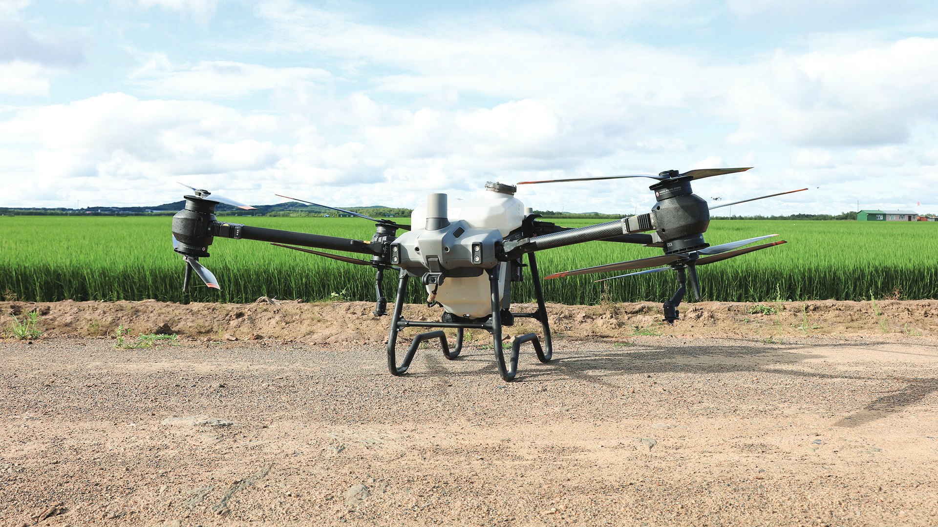Models like the robust DJI Agras T40 can carry large tanks of liquid fertiliser or pesticide. 